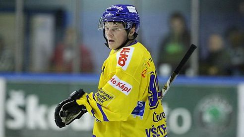 Písečtí hokejisté už si začali plnit program letní přípravy 