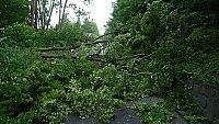 Podvečerní bouřka zasáhla Liberecký kraj, přinesla opět popadané stromy