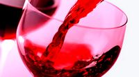  Pálavské vinobraní 2010 * Motto: "Každý rok zas a znova na víno do Mikulova"
